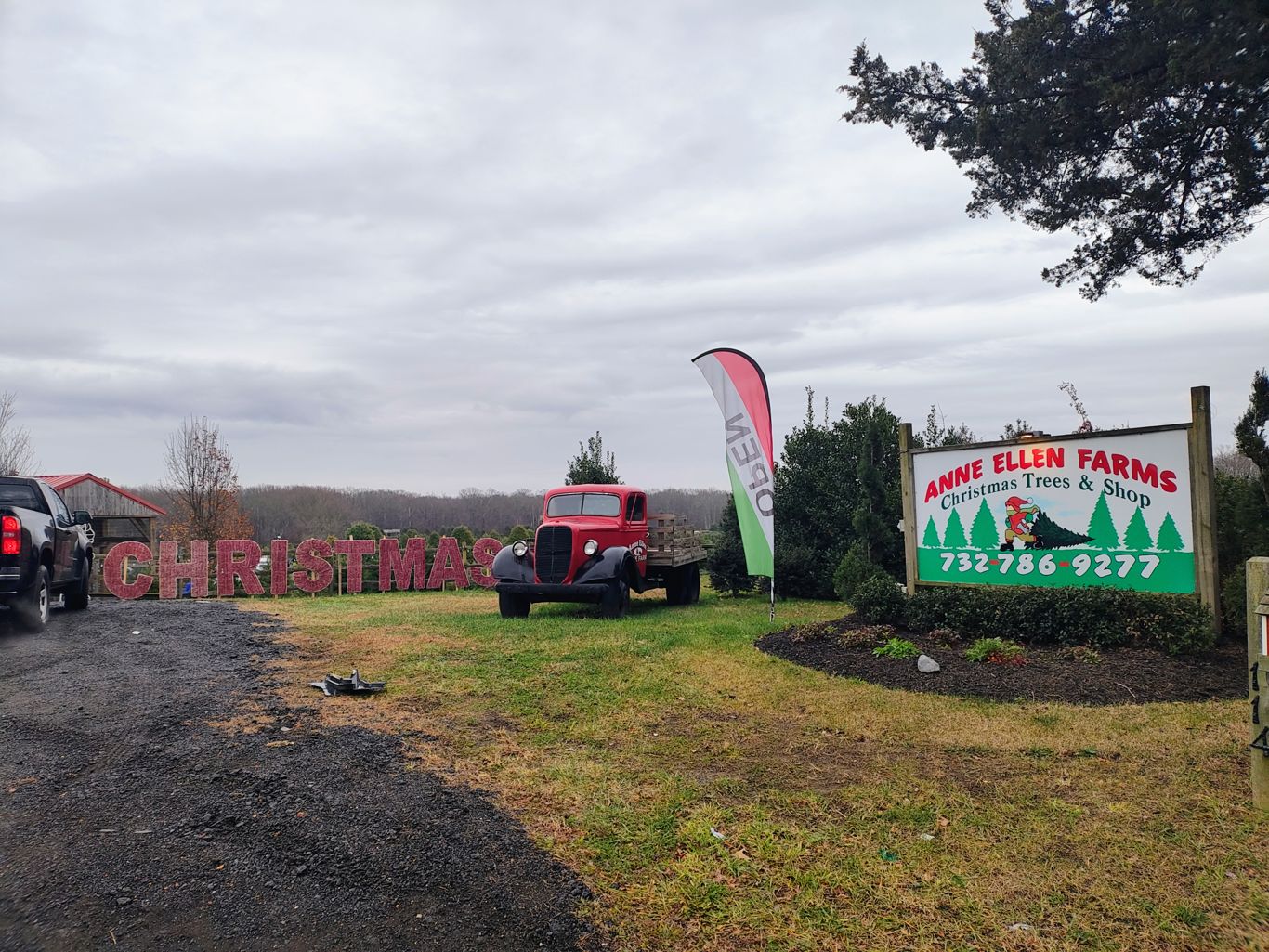 Anne Ellen Christmas Tree Farm