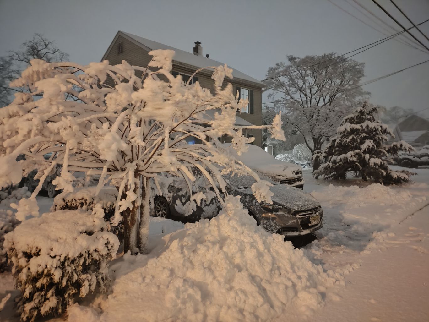 Yet Another Stupid Storm